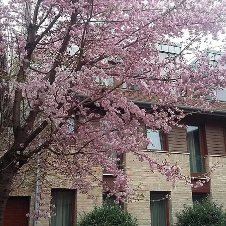 Bazilika Alatt Panzio 4*